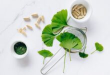 Ginkgo Biloba Benefits
